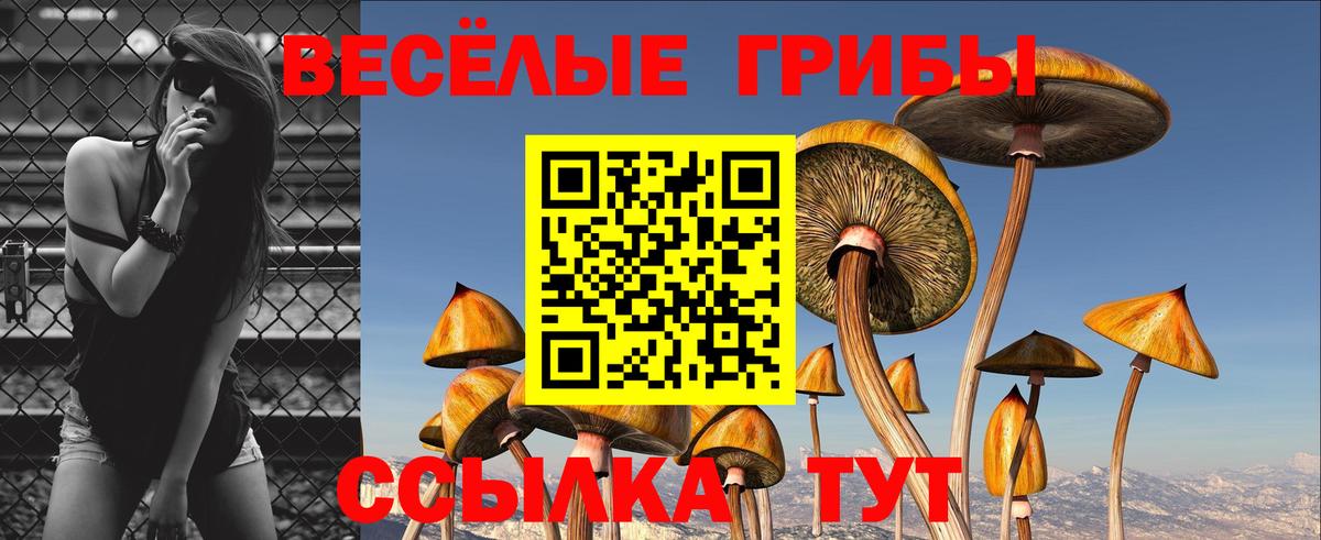 Зима  закладки  Вход с VPN  Галлюциногенные грибы ЛСД 